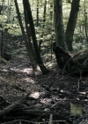 VampireDiariesWorld-dot-nl_OpenGrave2745.jpg