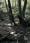 VampireDiariesWorld-dot-nl_OpenGrave2746.jpg