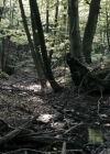 VampireDiariesWorld-dot-nl_OpenGrave2747.jpg