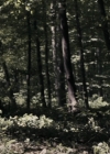 VampireDiariesWorld-dot-nl_OpenGrave2871.jpg