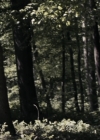 VampireDiariesWorld-dot-nl_OpenGrave2872.jpg