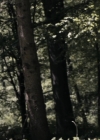 VampireDiariesWorld-dot-nl_OpenGrave2873.jpg