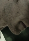 VampireDiariesWorld-dot-nl_OpenGrave2935.jpg