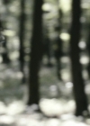 Filename=VampireDiariesWorld-dot-nl_OpenGrave5078.jpg
Filesize=215KiB
Dimensions=1000x412
Date added=Dec 16, 2015 VampireDiariesWorld-dot-nl_OpenGrave5078.jpg