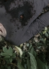 Filename=VampireDiariesWorld-dot-nl_OpenGrave5132.jpg
Filesize=302KiB
Dimensions=1000x412
Date added=Dec 16, 2015 VampireDiariesWorld-dot-nl_OpenGrave5132.jpg