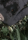 Filename=VampireDiariesWorld-dot-nl_OpenGrave5133.jpg
Filesize=317KiB
Dimensions=1000x412
Date added=Dec 16, 2015 VampireDiariesWorld-dot-nl_OpenGrave5133.jpg