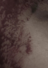 VampireDiariesWorld_dot_nl-Armistice0569.jpg