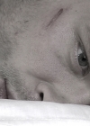 VampireDiariesWorld_dot_nl-Armistice2105.jpg