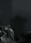 VampireDiariesWorld_dot_nl-Armistice2190.jpg