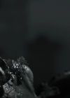 VampireDiariesWorld_dot_nl-Armistice2191.jpg