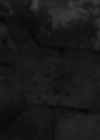 VampireDiariesWorld_dot_nl-Armistice3123.jpg