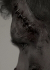 VampireDiariesWorld_dot_nl-Armistice3683.jpg