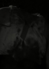 VampireDiariesWorld_dot_nl-Armistice4304.jpg