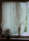vampirediariesworld-dot-org_TheDemented2607.jpg