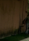 vampirediariesworld-dot-org_TheDemented4065.jpg