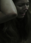 vampirediariesworld-dot-org_TheDemented4515.jpg