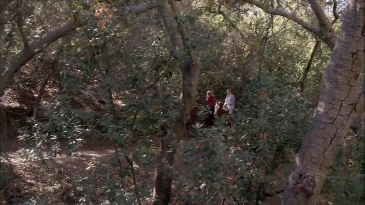 VampireDiariesWorld-dot-nl_HowNotToPropose1788.jpg