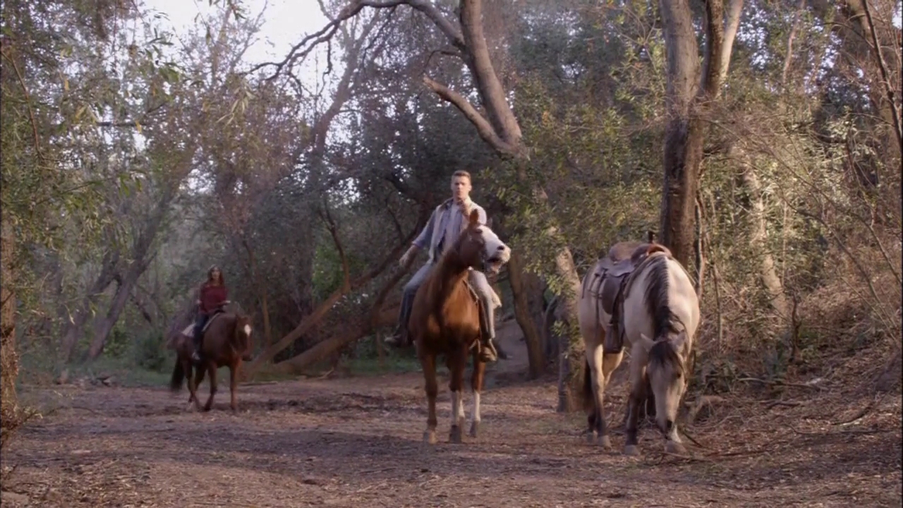 VampireDiariesWorld-dot-nl_HowNotToPropose1908.jpg VampireDiariesWorld-dot-nl_HowNotToPropose1908.jpg