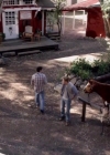 VampireDiariesWorld-dot-nl_HowNotToPropose1605.jpg