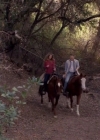 VampireDiariesWorld-dot-nl_HowNotToPropose1809.jpg