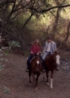 VampireDiariesWorld-dot-nl_HowNotToPropose1811.jpg
