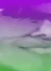 VampireDiariesWorld_dot_org-BoomKat00122.png