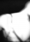 VampireDiariesWorld-dot-org_ColdHeartedSnake-Remix-Captures00185.png