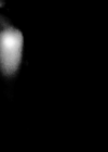 VampireDiariesWorld-dot-org_ColdHeartedSnake-Remix-Captures00212.png