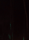 Filename=VampireDiariesWorld-dot-NL_HowItEnds5779.jpg
Filesize=404KiB
Dimensions=1920x800
Date added=Jul 26, 2018 VampireDiariesWorld-dot-NL_HowItEnds5779.jpg