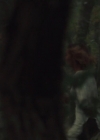 Filename=VampireDiariesWorld-dot-NL_HowItEnds6198.jpg
Filesize=458KiB
Dimensions=1920x800
Date added=Jul 26, 2018 VampireDiariesWorld-dot-NL_HowItEnds6198.jpg