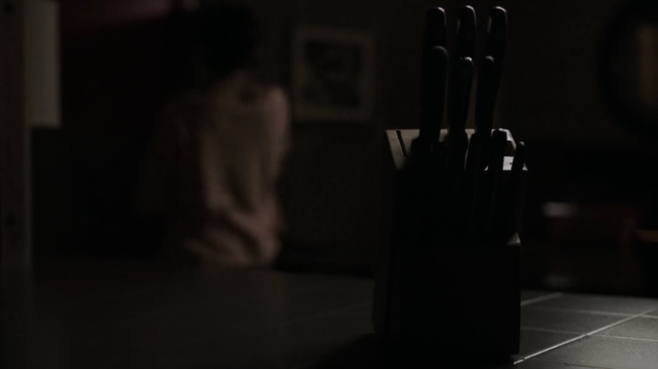 VampireDiariesWorld-dot-org_Stalker1x20-0678.jpg