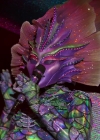Filename=VampireDiariesWorld-MaskedSinger8x04-0770.jpg
Filesize=1079KiB
Dimensions=1920x1080
Date added=Mar 11, 2024 VampireDiariesWorld-MaskedSinger8x04-0770.jpg