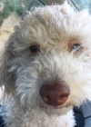 Filename=053-2.jpg
Filesize=123KiB
Dimensions=1080x1080
Date added=Jul 09, 2019 053-2.jpg