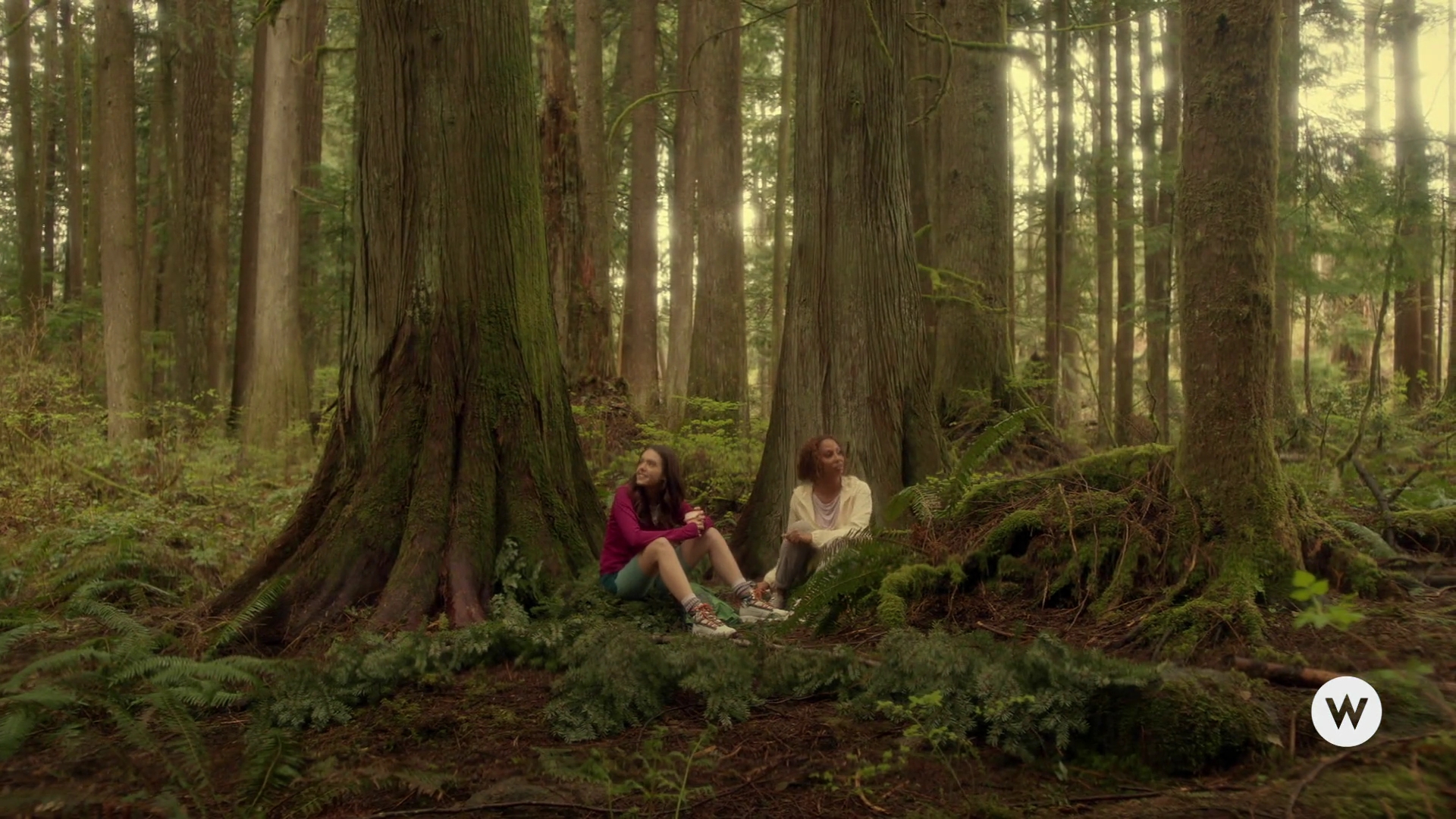 VampireDiariesWorld-dot-nl_TheJourneyAhead2520.jpg