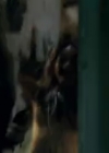 VampireDiariesWorld-dot-org_SororityRow4050.jpg