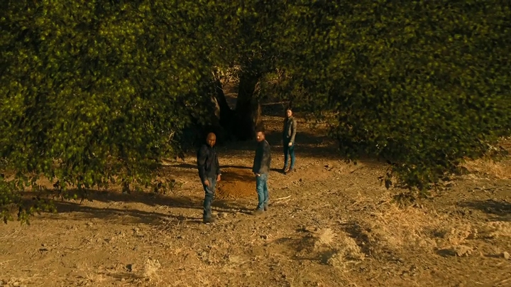 VampireDiariesWorld-dot-NCISLA9x15-2231.jpg