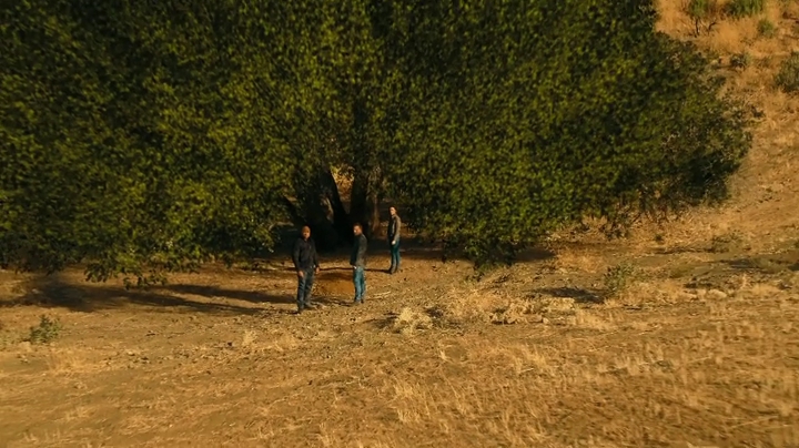 VampireDiariesWorld-dot-NCISLA9x15-2236.jpg