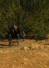 VampireDiariesWorld-dot-NCISLA9x15-2236.jpg