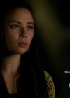 Filename=VampireDiariesWorld-dot-org_StarCrossed-S01E10-1767.jpg
Filesize=72KiB
Dimensions=720x404
Date added=Oct 08, 2014 VampireDiariesWorld-dot-org_StarCrossed-S01E10-1767.jpg