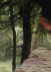 VampireDiariesWorld-dot-nl_TheShannaraChronicles2x02-0729.jpg