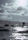 VampireDiariesWorld-dot-org_BlueCrush2303.jpg