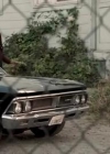 VampireDiariesWorld-dot-org_Cult1x041276.jpg