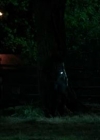 VampireDiariesWorld-dot-org_Cult1x041764.jpg