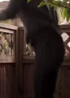VampireDiariesWorld-dot-org_CultS01E06-1539.jpg