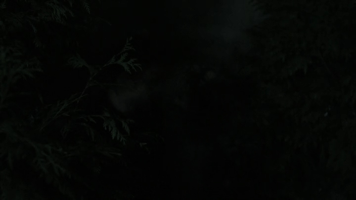 VampireDiariesWorld-dot-nl_Cult1x10-1940.jpg