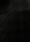 VampireDiariesWorld-dot-nl_Cult1x10-1498.jpg