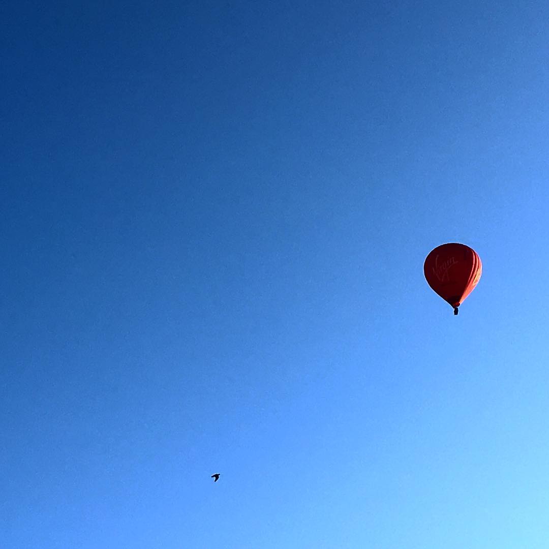 257.jpg