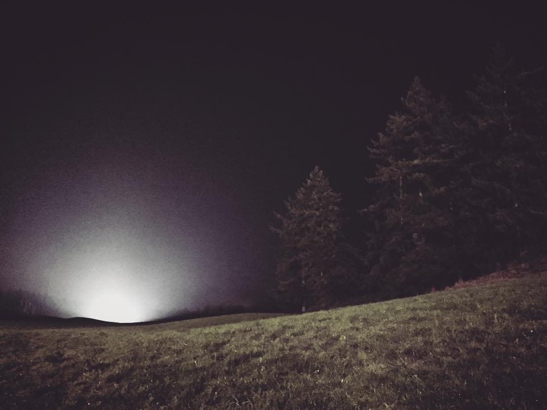 038.jpg