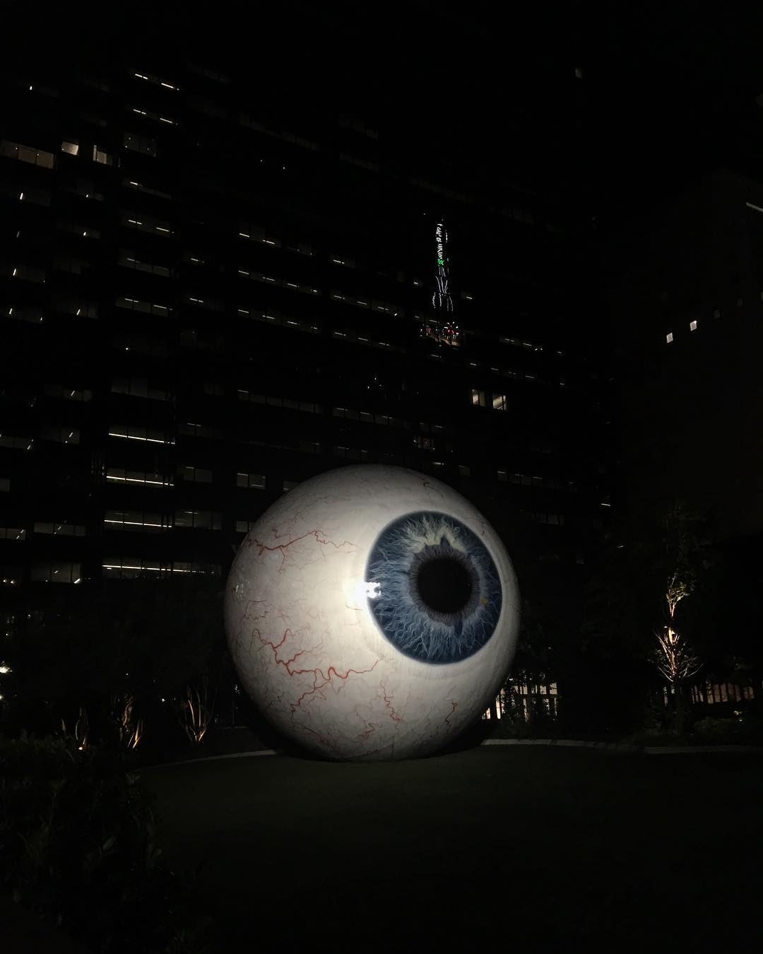 303.jpg