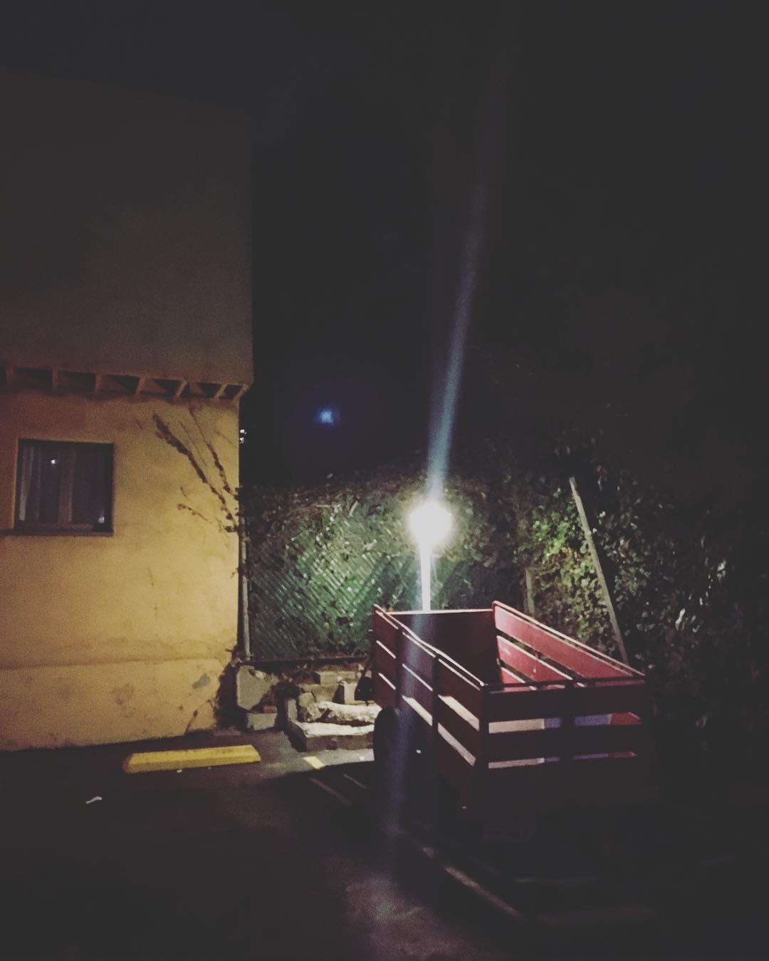 318.jpg